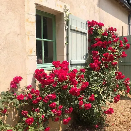 La Cour Du Liege-charming Renovated Country Estate 乡村民宿
